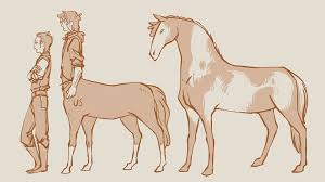 centaur comparison doodle stuff height chart mythical