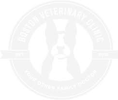 Boston veterinary clinic began as a concierge practice, delivering exceptional pet health care services in the comfort and security of our clients' homes. Veterinarians And Animal Hospital In Boston Ma Boston Veterinary Clinic