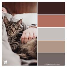 Cat Dude Modern Masculine Color Palette For Pet Brand Inspiration Earth Colour Palette Cat Colors Color Themes