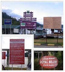 Hutan belum telah diisytiharkan sebagai royal belum oleh sultan perak, almarhum sultan azlan muhibbuddin shah pada tahun 2003. Royal Belum State Park Wonderful Malaysia