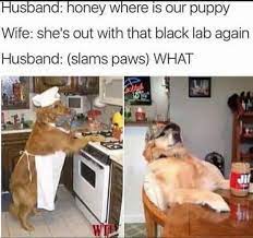Redneck Doggo Family 9gag