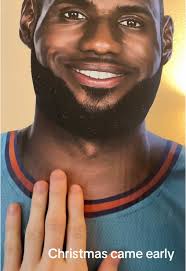 Lebron Sunflower Cut Out