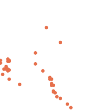 Image result for Premna velutina