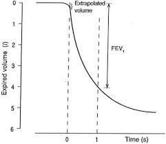 Lung Volumes And Forced Ventilatory Flows European