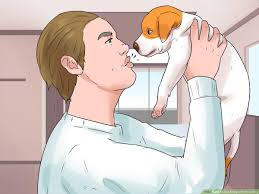 Doing it this way turns it into an invitation from the existing dogs. 3 Ways To Get Along With Your Dog Wikihow