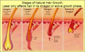 As with lasers for hair removal, the opportunities proved attractive potentially lucrative, and the first reported clinical study of a commercial ipl machine dates to 1997. Best Laser Hair Removal Encino Bakersfield Sean Younai Md