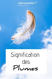 La Signification Des Plumes Le Message Des Anges Signification Des Plumes Heure Miroir Signification Signification