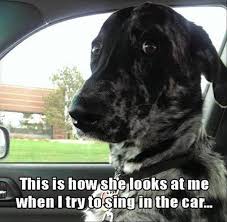 Funny Pictures Of The Day 33 Pics Funny Dogs Funny Animals Dog Quotes Funny