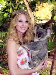 Pin By Kaylee Berry On Taylor Swift Taylor Swift Koalas Taylor Swift Pictures