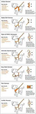 Large Dog Harness Pattern Dog Car Dog Care Pets Dog Training