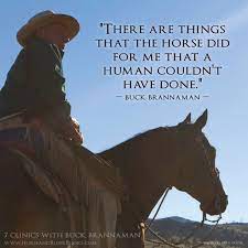 The 20 Best Quotes From Buck Brannaman Horse Riding Quotes Equestrian Quotes Horse Quotes