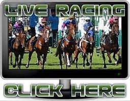 Get free sha tin form guides, live weather and track conditions, including past rides and track statistics for all races run at sha tin. Watch Free Live Horse Racing From Singapore Hong Kong South Africa