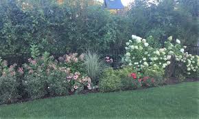 Hydrangea, due to its thick foliage growth, is a good plant if you want more privacy. Privacy Borders Legarden Designs