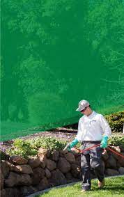 Our pest control technicians are expertly trained and certified. Pro Active Pest Control Eco Friendly Pest Control Experts Serving Ca