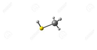 Image result for Methanethiol