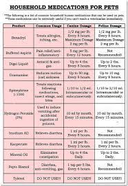 Tylenol Dose For Dogs Best Reviews