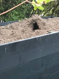 Image result for site:byggahus.se grus odlingslådor