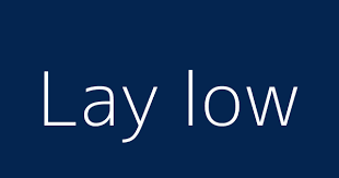 Check spelling or type a new query. Lay Low Definitions Meanings That Nobody Will Tell You