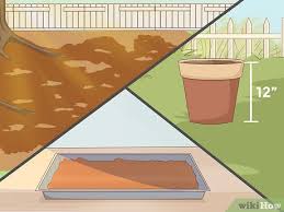 One tablespoon of the seeds contains 3 grams of protein, 3. How To Grow Fenugreek 13 Steps With Pictures Wikihow