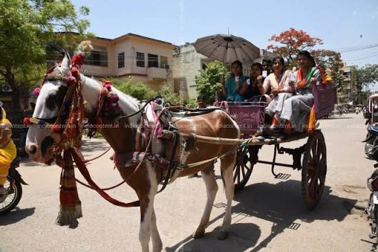 Buy Patna Women show their voter identity card sitting on a horse cart during the seventh and the last phase of 2019 Lok Sabha Elections in Patna on May 19 2019 Photo