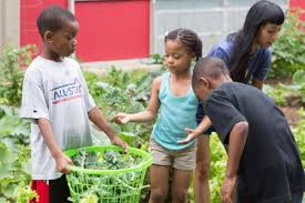 Flowers for dreams promo code (unverified): Milwaukee Flowers For Dreams To Support 12 Local Charities Milwaukee Wi Patch