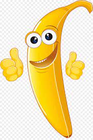 Mereka ditopang pada batang dalam suksesi acropetal. Banana Drawing