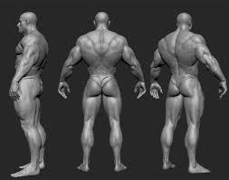 We did not find results for: Anatomy On Behance