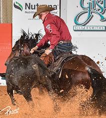 Corey Cushing: Sponsored Horse Trainer