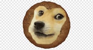 Online, the breed grew in popularity thanks to the doge meme the shiba inu was originally bred in 19th century for the purposes of hunting. Dogecoin Shiba Inu Meme Doge Carnivoran Begleithund Hund Png Pngwing