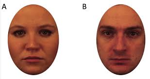 Of no particular kind, characteristics, etc.; A Example Of Female Neutral Face B Example Of Male Neutral Face Download Scientific Diagram