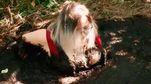 Old Abandoned House: Xandra: What surprises can await in an abandoned  garden near an old house? - UMD