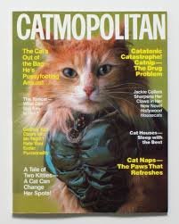 Catmopolitan By Ilene Hochberg Funny Cats Cat Lovers Kitten Breeds