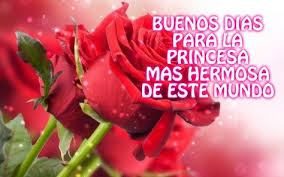 Buenos Dias Con Flores Flores Bonitas Flores Papel Pintado Flores