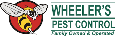 We can take care of any pest that's bothering you, anywhere in houston. Wheeler S Pest Control Local Family Owend Experts Temecula Murrieta Orange County