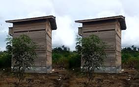 Matahari perlahan rebah ke peraduan pertanda malam menjelang. Desain Rumah Walet Kecil Dari Kayu Burungnya Com