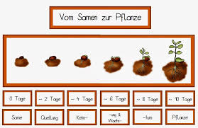 Blog Mit Selbst Erstellten Unterrichtsmaterialien Fur Die Grundschule Volksschule Zum Download Mathemat Fruhbluher Grundschule Unterrichtsmaterial Grundschule