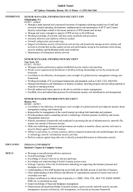 senior manager, information security