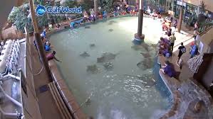 At 615,000 square miles, the gulf of mexico is the largest gulf in the world. Sharky S Beach Cam