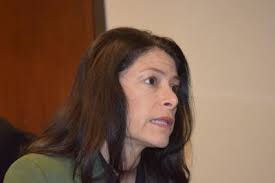 Image result for dana nessel