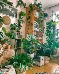 Bohemian House Plant Paradise Living Room Plants Room With Plants Plant Decor Indoor