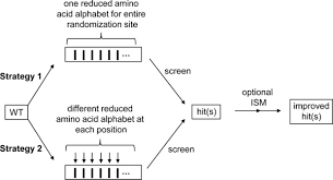 Function alphabetposition(text) { var result = ; New Concepts For Increasing The Efficiency In Directed Evolution Of Stereoselective Enzymes Sun 2016 Chemistry A European Journal Wiley Online Library