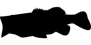 Free Free 270 Simple Bass Svg SVG PNG EPS DXF File
