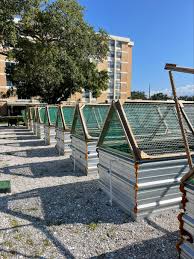LPA Key Club at Work in the Community Garden