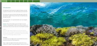 Marine habitats, tides, currents, ocean floor, ocean life, bioluminescence and. Classroom Ready Data Resources National Oceanic And Atmospheric Administration