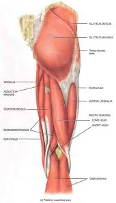 Jun 04, 2021 · london uk, june 4 (ani): Hamstring Strain And Pulled Hamstring Injury Treatment