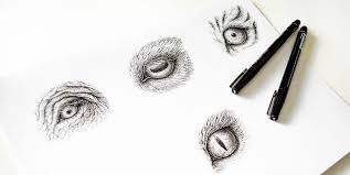 How To Draw Animal Eyes With Pen And Ink