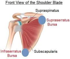 Joint is located where the collarbone meets the top of the shoulder blade. Is There A Strange Snapping Grinding Queenstown Health Facebook