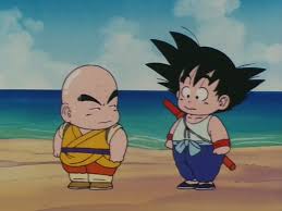 The series probably looks better now than it. Dragon Ball Season 1 Quotes Dragon Ball Wiki Fandom
