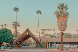 Image result for Bamboo 1961 Polara