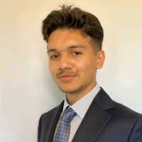 40+ "Bertone" profiles